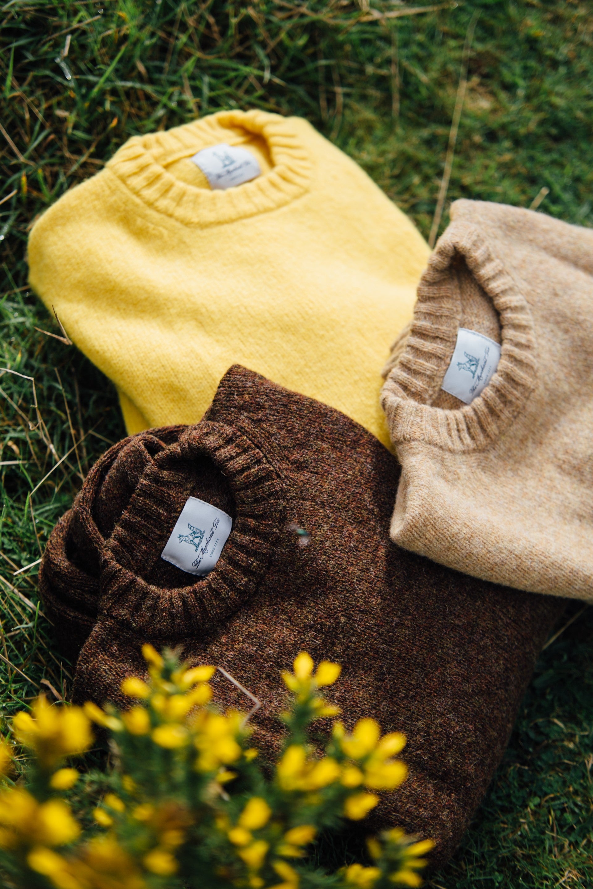 The Sandstone Crew Neck Woollen Sweater